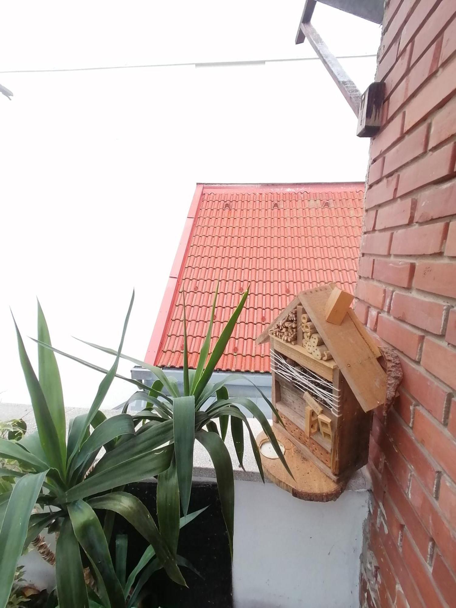 Ujkapu Sunshine Apartments Győr Værelse billede